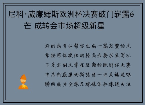 尼科·威廉姆斯欧洲杯决赛破门崭露锋芒 成转会市场超级新星 尼科·威廉姆斯欧洲杯决赛破门崭露锋芒 成转会市场超级新星
